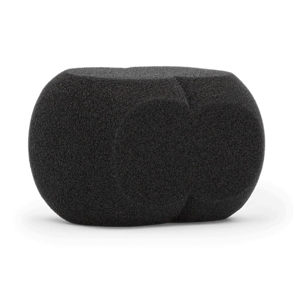 Rode WS4 | Pop Filter Windshield for NT4